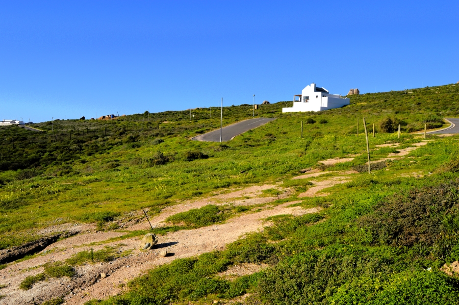 0 Bedroom Property for Sale in Steenbergs Cove Western Cape